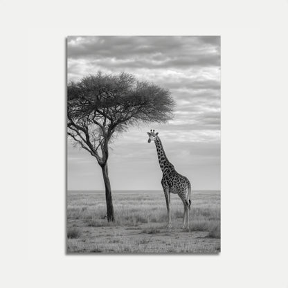Póster de paisaje africano con jirafa solitaria