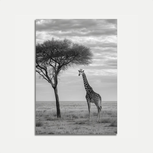 Póster de paisaje africano con jirafa solitaria