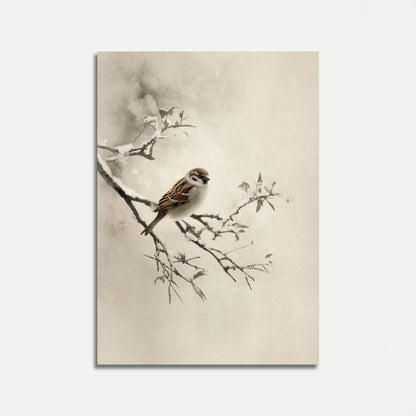 Sparrow on Frosted Branch Poster