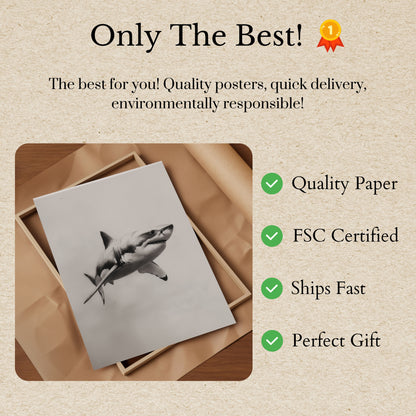 Great White Shark Sketch Poster