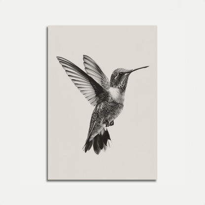 Poster di Volo di Colibrì Elegante