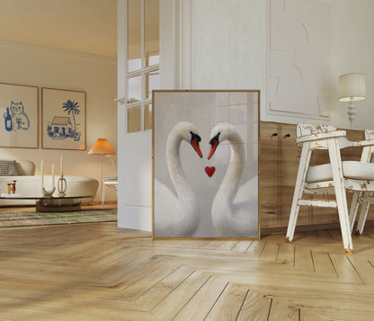 Swans in Love Heart Poster