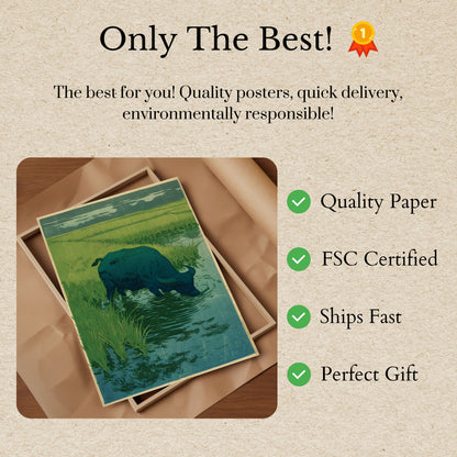 Buffalo drikker ved strømmen plakat
