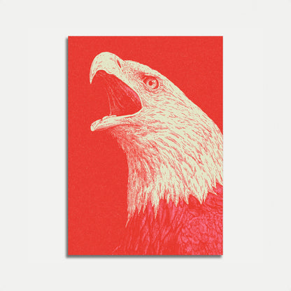 Póster Retrato Águila Calva