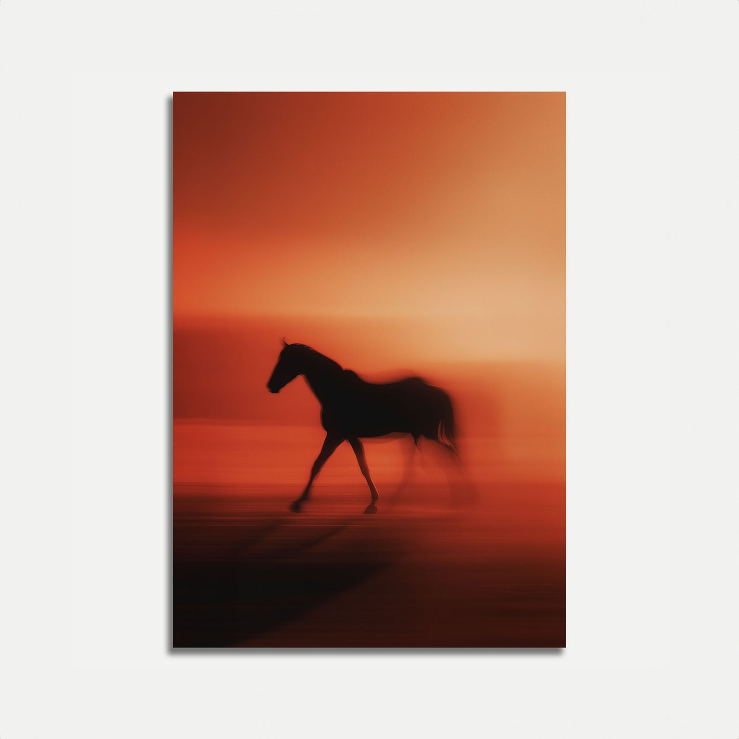 Solnedgangshest Skygge Plakat