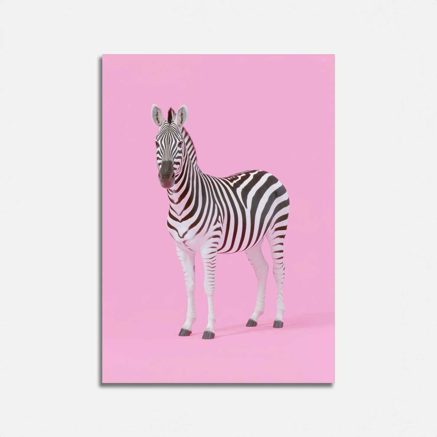 Pink Zebra Minimalist Poster