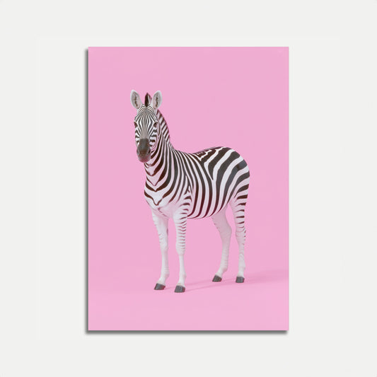 Pink Zebra Minimalist Poster