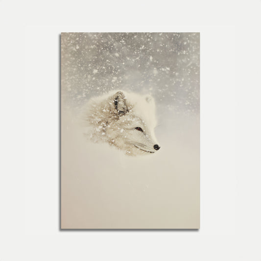 Poster della Volpe Artica nella Neve