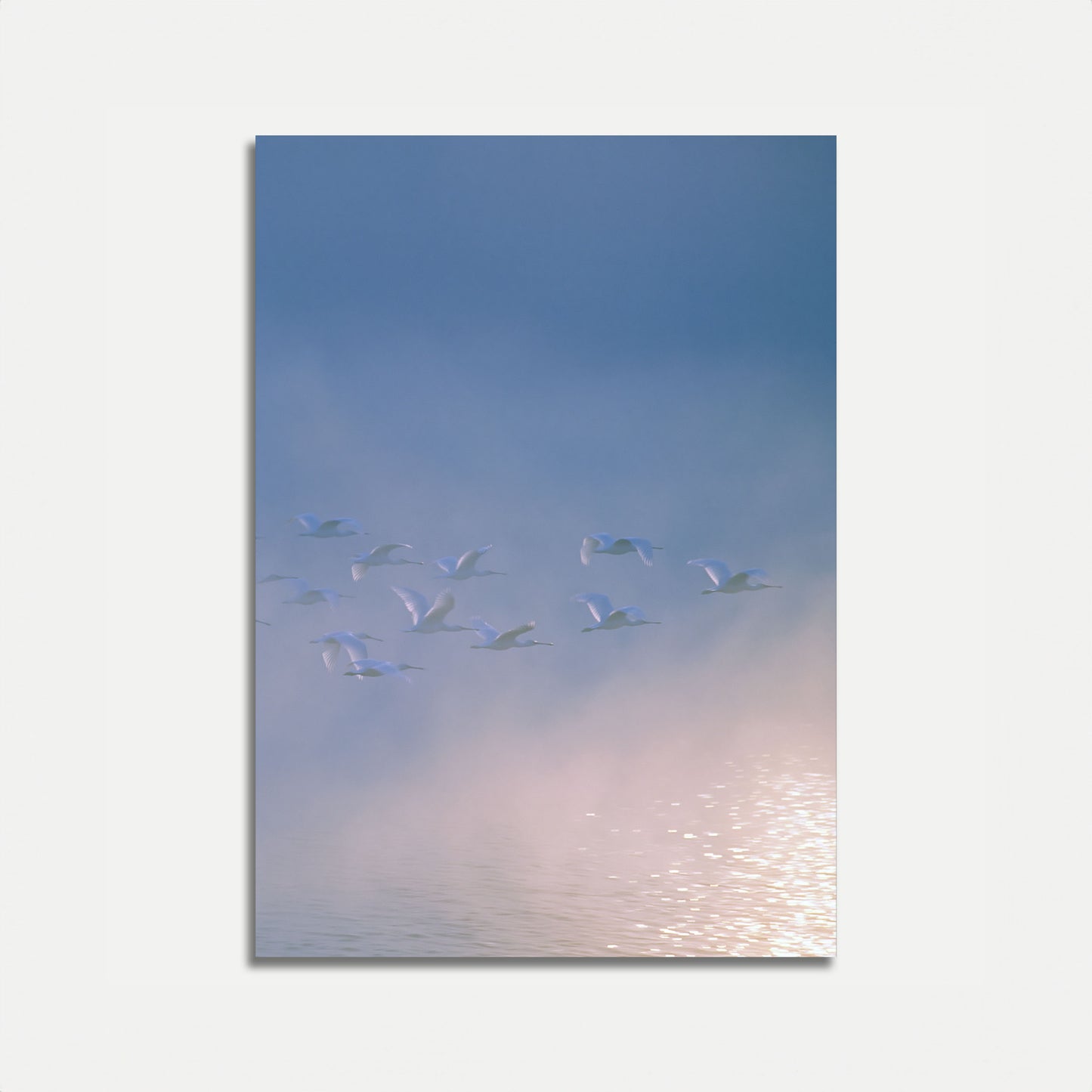 Affiche « Oiseaux en vol dans la brume matinale »