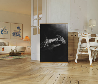 Great Hammerhead Shark Dark Poster