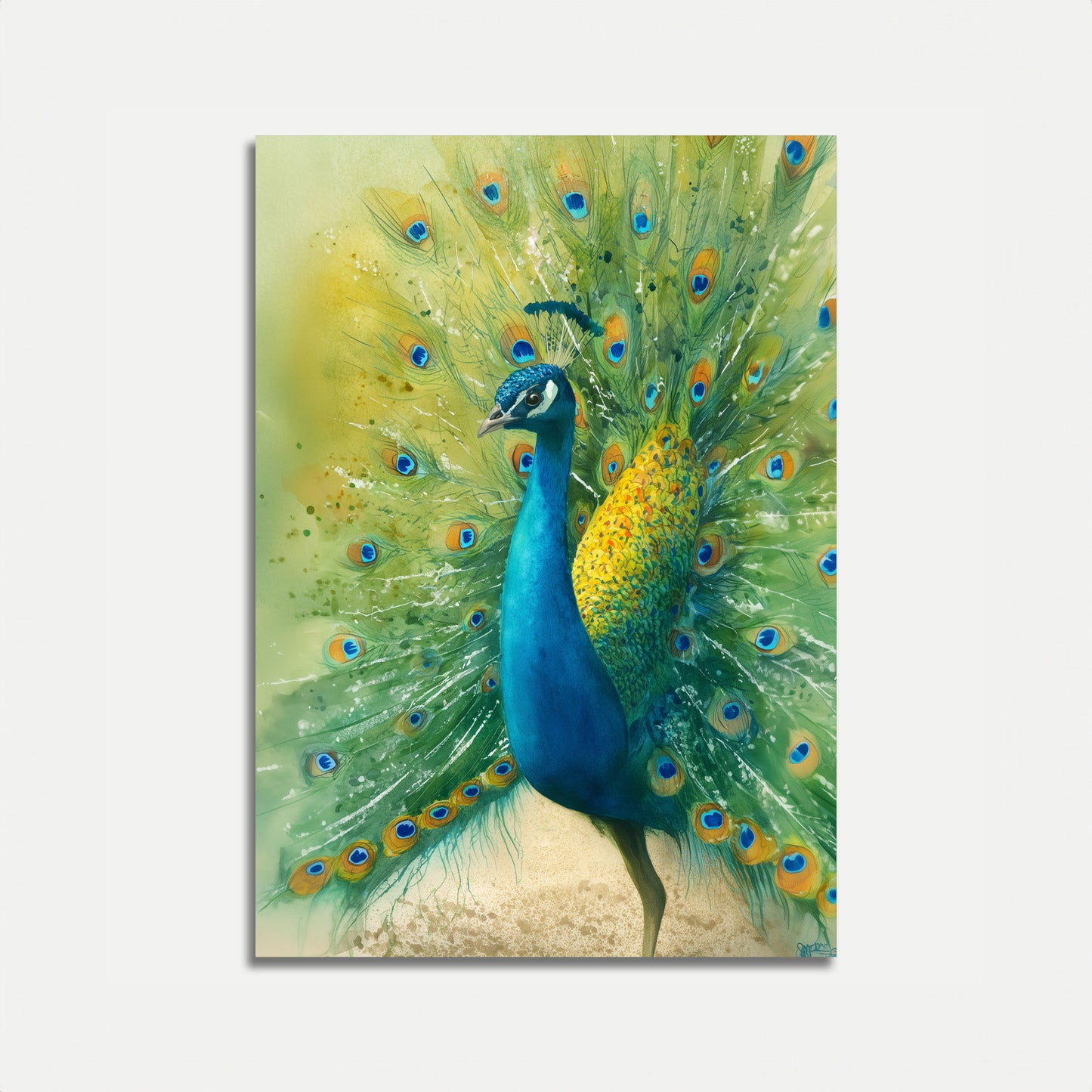 Majestic Peacock Feather Display Poster