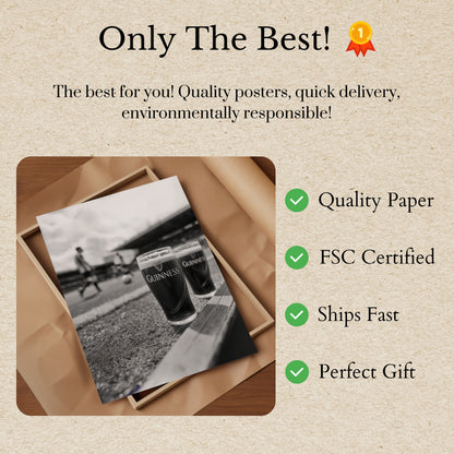 Guinness Stadium Sideline Poster