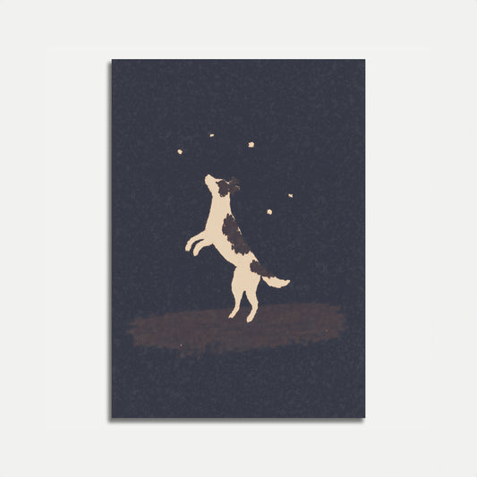 Affiche du ciel nocturne avec un chien qui saute