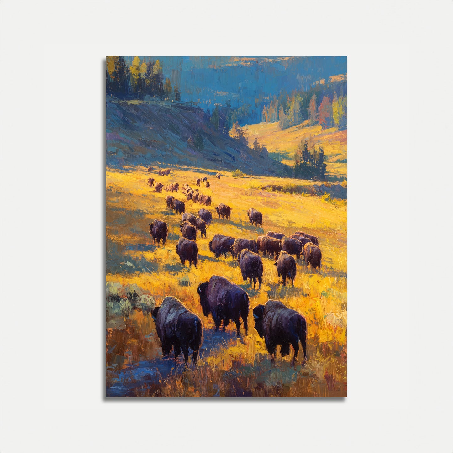 Buffalo Kudde Gouden Grasveld Poster