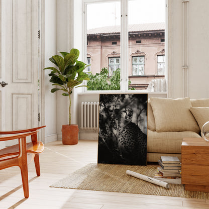 Majestic Cheetah Black and White Poster