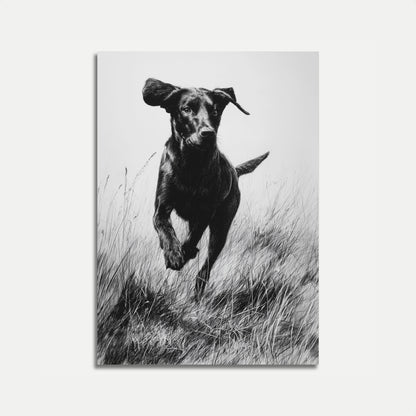 Dynamic Black Dog Running Poster