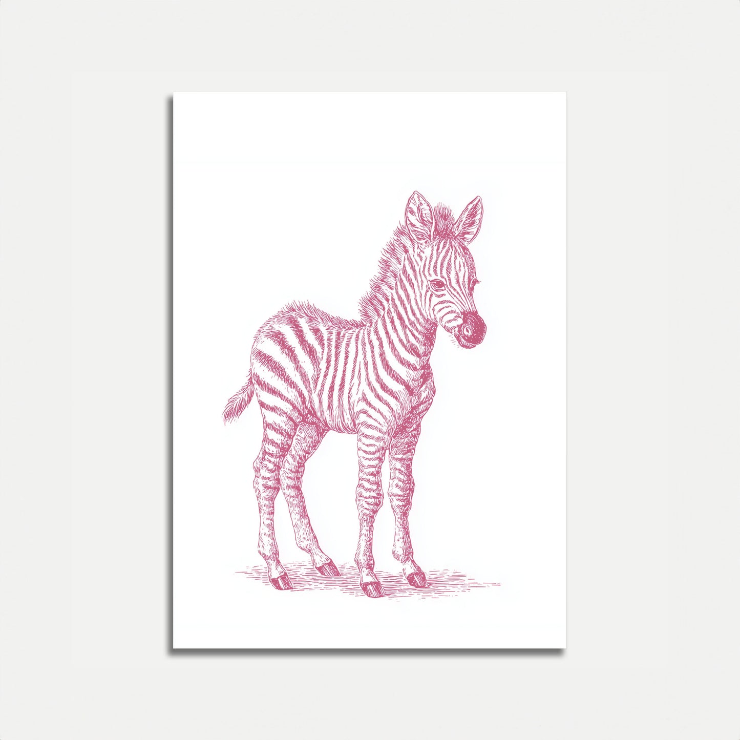 Pink Zebra Sketch Poster