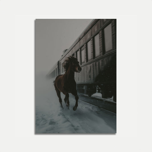 Viaggio Selvaggio Poster