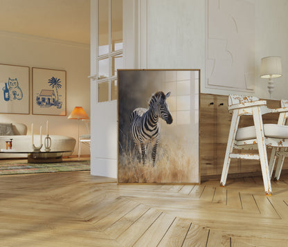 Solitary Zebra Grasslands Poster