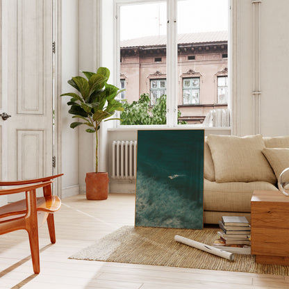 Solitary Wave Rider Poster