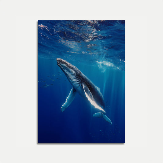 Majestic Whale Underwater Poster