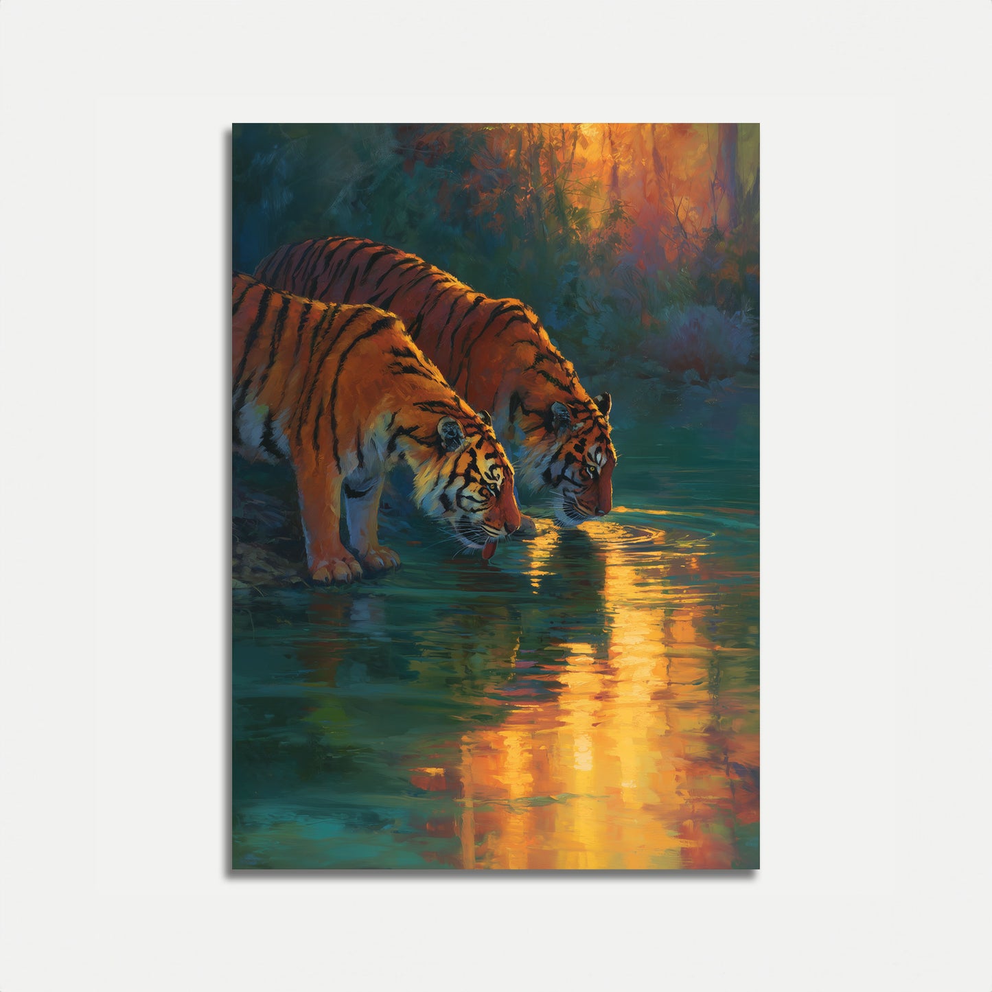 Tigers Drinking at Sunset Poster