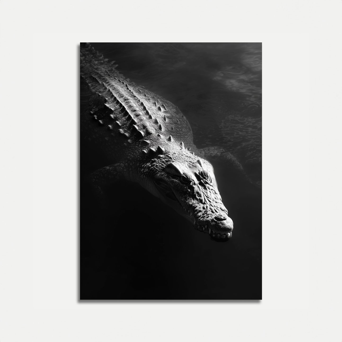 Póster de Depredador de Dark Waters