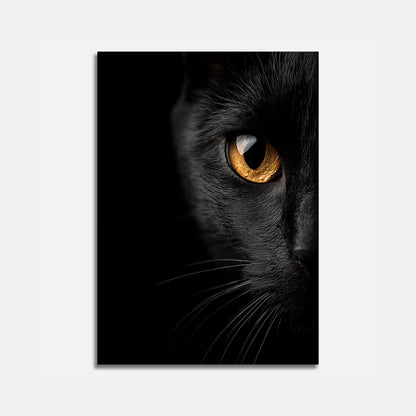 Pôster de Gato Preto Olhar Dourado