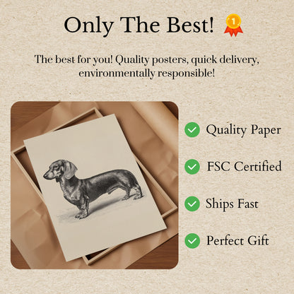 Vintage Dachshund Profile Poster