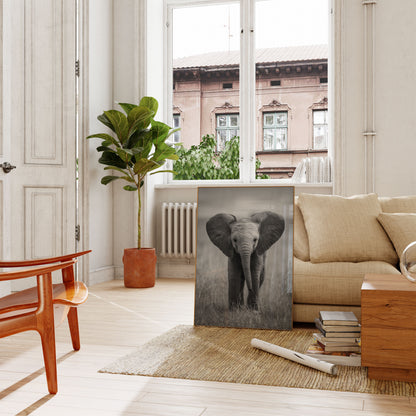 Majestic Baby Elephant Portrait Poster