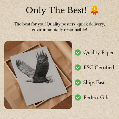 Majestic Eagle in Flight Poster