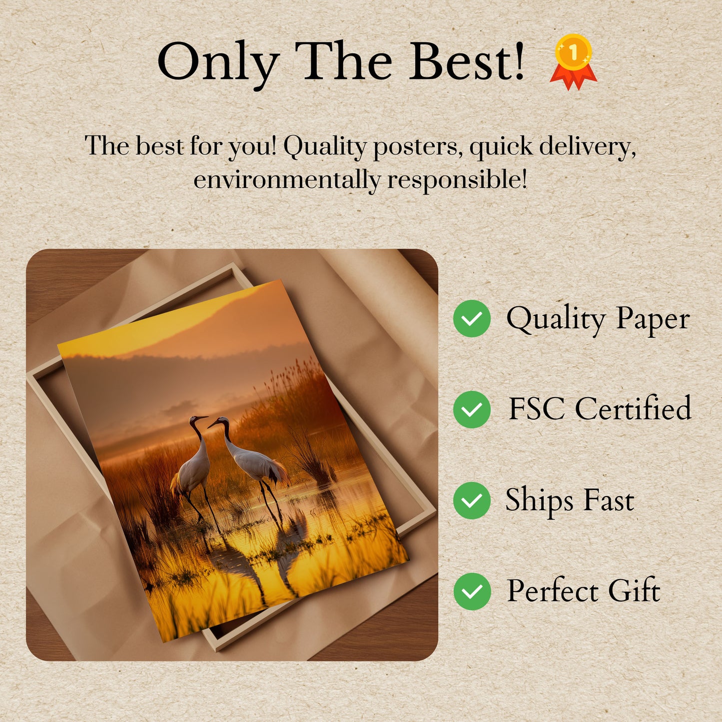 Elegant Cranes at Sunset Poster