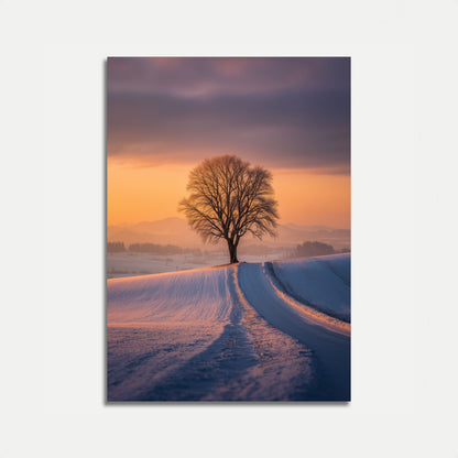 Solitary Winter Tree Sunset Poster